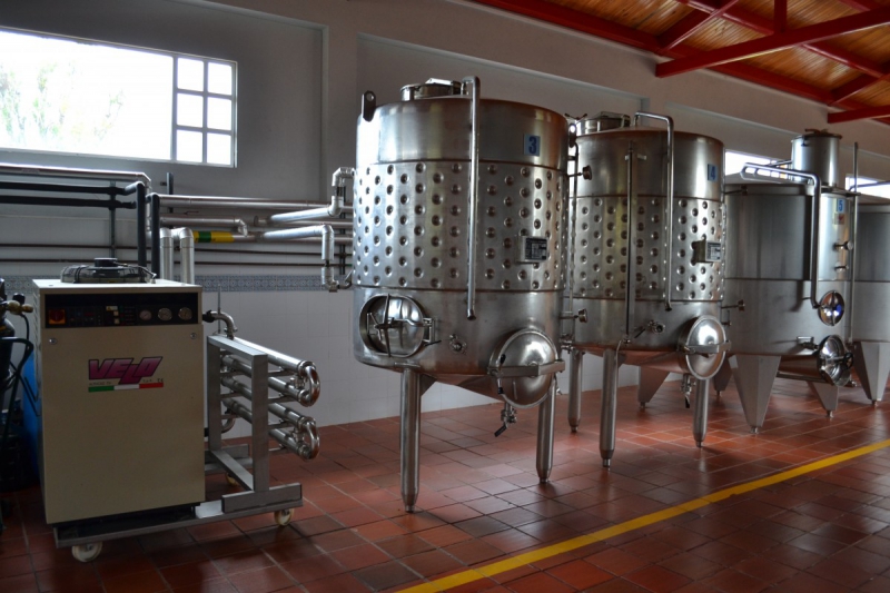 cave-LE BEAUSSET-min_wine_production_cantine_winery_drink_alcohol_vine_beverage-902036